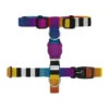 ZeeDog Σαμαράκι H-Harness Prisma 1 ZeeDog Σαμαράκι H-Harness Prisma -Gatoskilo Petshop Store zeedog samaraki h harness prisma