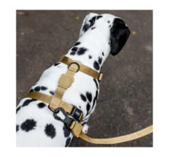 ZeeDog Σαμαράκι H-Harness Sand -Gatoskilo Petshop Store zeedog samaraki h harness sand 1