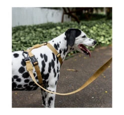 ZeeDog Σαμαράκι H-Harness Sand -Gatoskilo Petshop Store zeedog samaraki h harness sand 3